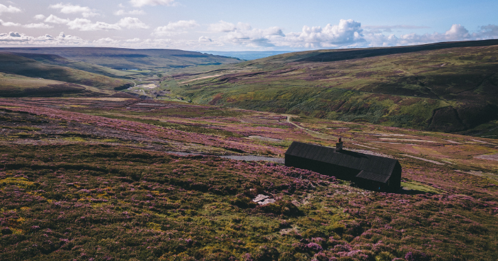 View of the durham dales and North Pennines moorlands covered in purple heather